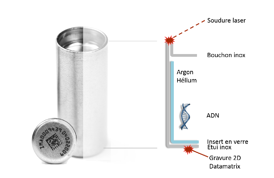 Schéma de coupe d'une capsule DNAshell®